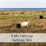 Ferienloft Sternenblick - Strandnah, Haustierfreundlich, Tolle Küche, Optimal Für Workation, 4 Personen Apartment *