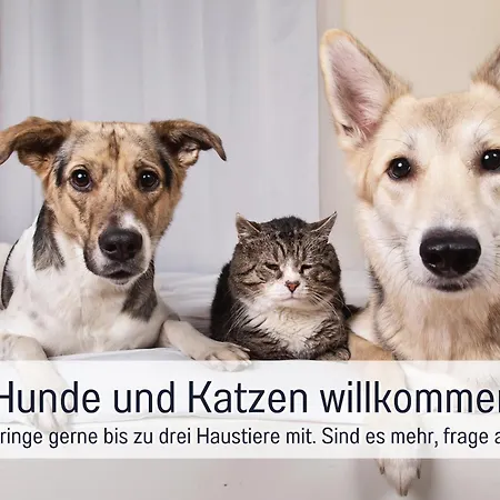 Ferienloft Sternenblick - Strandnah, Haustierfreundlich, Tolle Kueche, Workation, Platz Fuer Bis Zu 5 Erwachsene Апартаменты