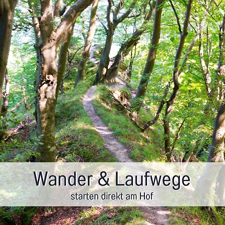 Ferienloft Sternenblick - Strandnah, Haustierfreundlich, Tolle Küche, Optimal Für Workation, 4 Personen