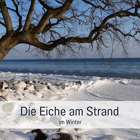 Ferienloft Sternenblick - Strandnah, Haustierfreundlich, Tolle Kueche, Optimal Fuer Workation, 4 Personen * Steinberg (Schleswig-Holstein)
