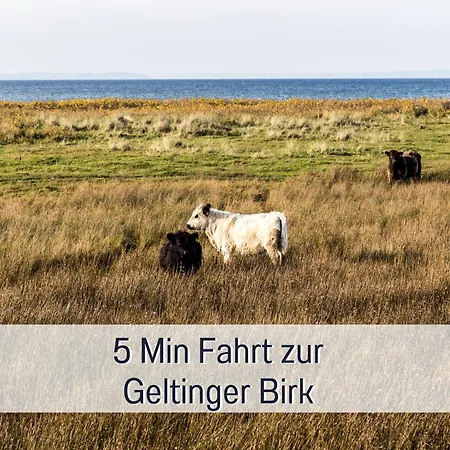 Ferienloft Sternenblick - Strandnah, Haustierfreundlich, Tolle Kueche, Workation, Platz Fuer Bis Zu 5 Erwachsene Appartement *